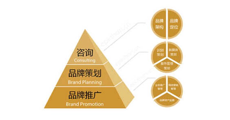 杭州文化传媒公司的崛起:从草根到巨头